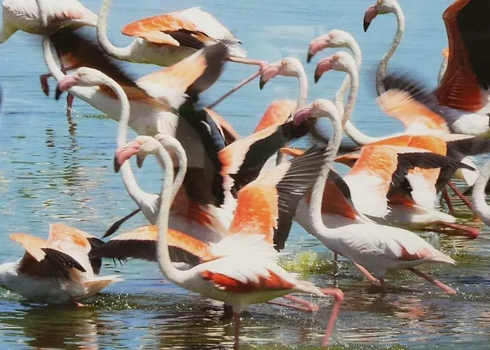 Casa Maria 度假居